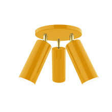 Montclair Light Works FMH440-21-91 - Martin 3-light Flush Mount, Bright Yellow with Brushed Brass Swivels