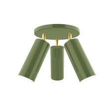 Montclair Light Works FMH440-22-91 - Martin 3-light Flush Mount, Fern Green with Brushed Brass Swivels