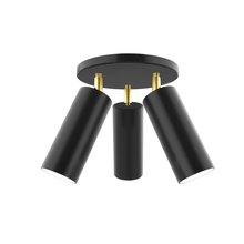 Montclair Light Works FMH440-41-91 - Martin 3-light Flush Mount, Black with Brushed Brass Swivels