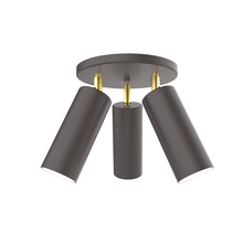 Montclair Light Works FMH440-57-91 - Martin 3-light Flush Mount, Bronze Matte with Brushed Brass Swivels