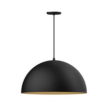 Montclair Light Works PEB229-41-75 - 24" XL Choices Shallow Dome Shade, medium base, black cord w/ canopy, Black w/ Gold Matte Interi
