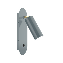 Montclair Light Works SCR440-40-91 - Martin Adjustable Wall Sconce, Slate Gray with Brushed Brass Swivels