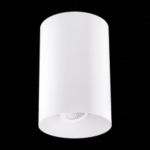Elco Lighting E429FS-10CT5 - 4" Koto SyloÃƒÂ¢Ã¢â‚¬Å¾Ã‚Â¢ Adjustable Surface Mount
