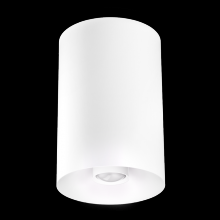 Elco Lighting E42FS-07SD-FC - 4" SLVR SRFC MNT 18-50BM 750LM SSD